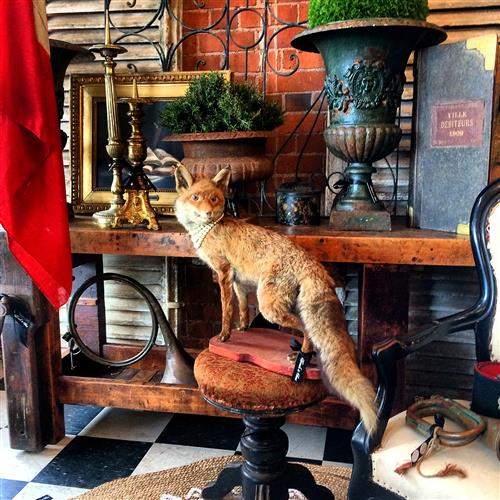 Monsieur French Fox