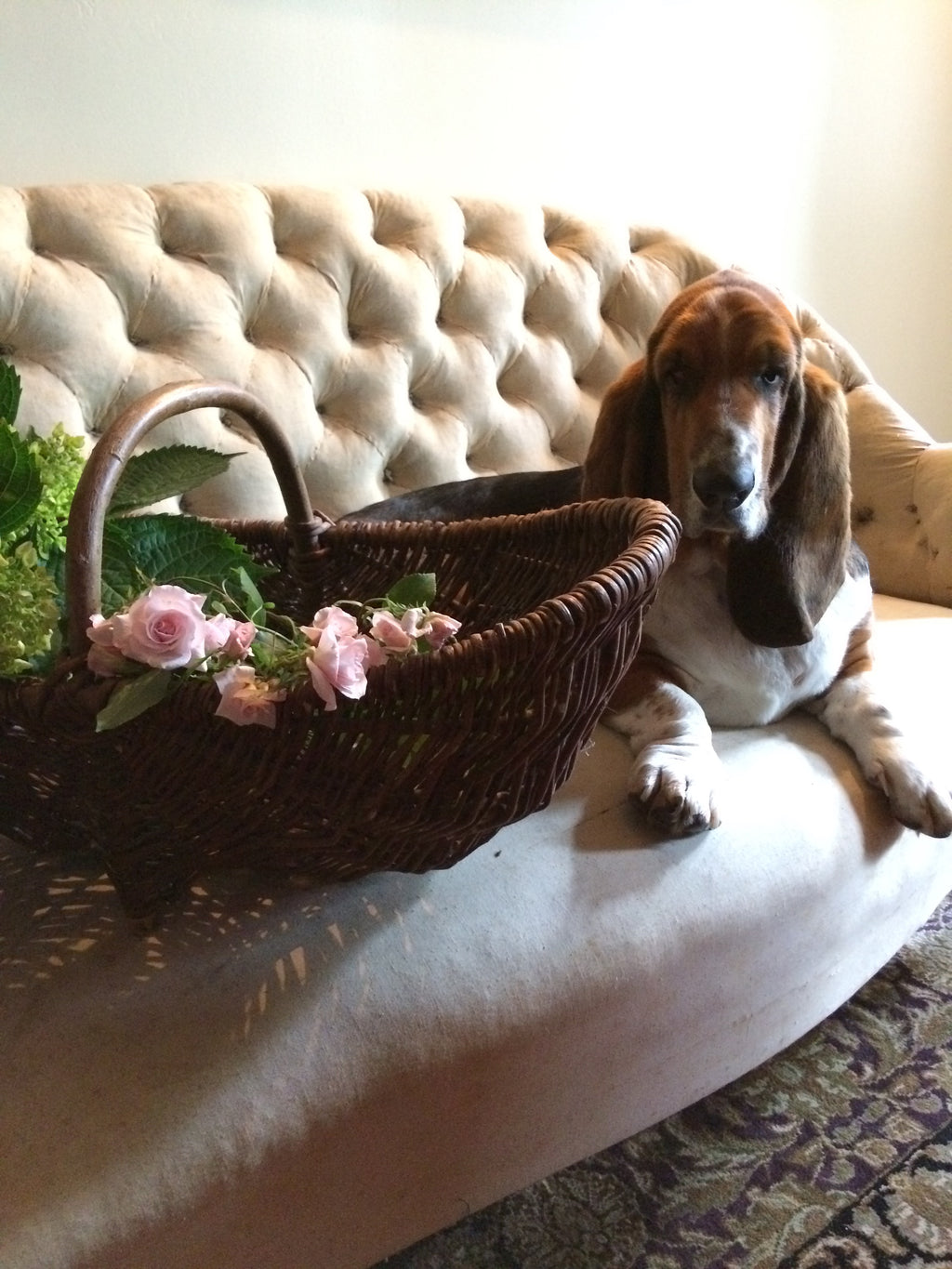 Undressed French Couch
