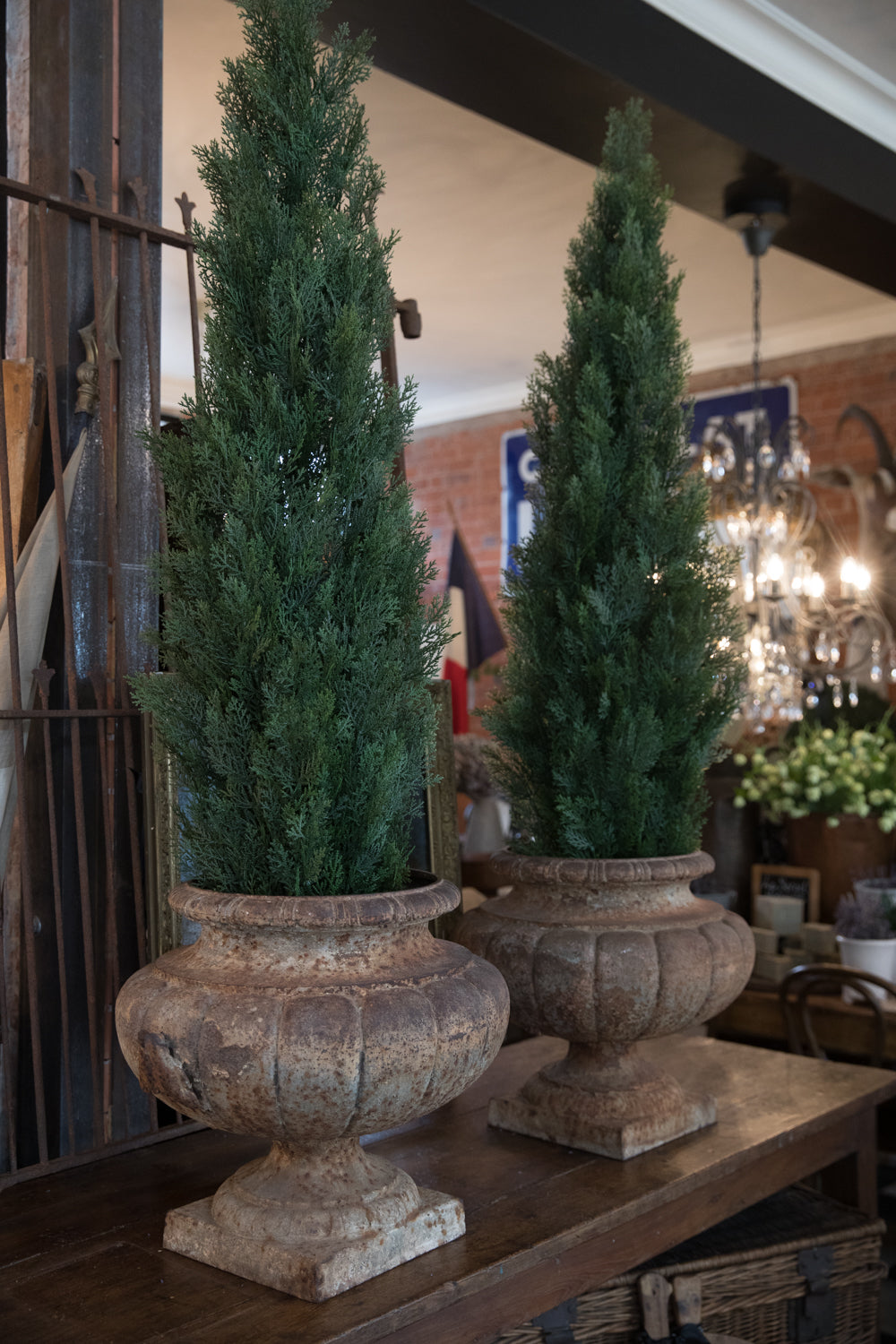 Beautiful Pair of 19th Century French Cast Iron Urns