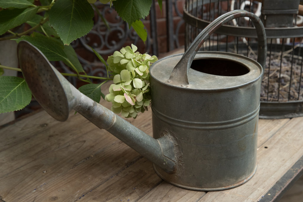 French Vintage Zinc Watering Can