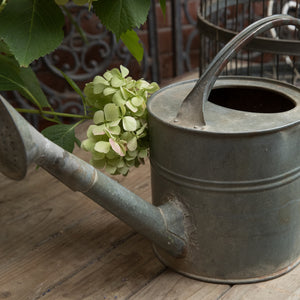 French Vintage Zinc Watering Can
