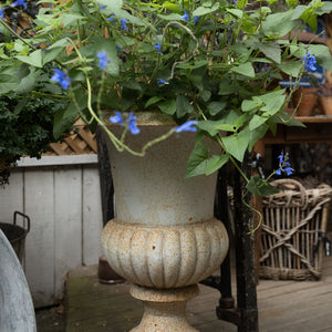 French Cast Iron Urns - White Patina