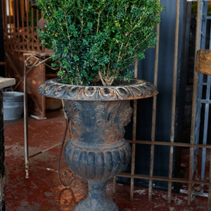 French Cast Iron Garden Urns