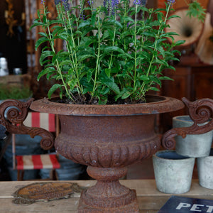 French Cast Iron Urns Rust Patina