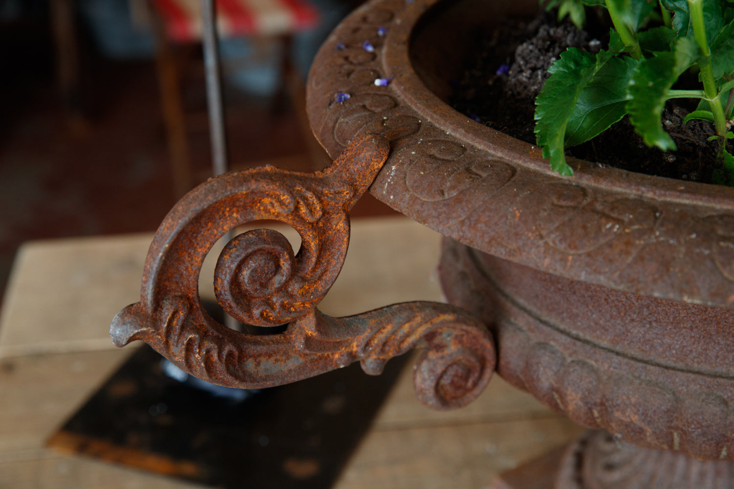 French Cast Iron Urns Rust Patina
