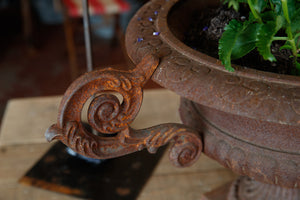 French Cast Iron Urns Rust Patina
