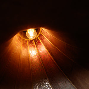 French Gramophone Hood Lights
