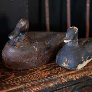 19th Century French Duck Decoy's