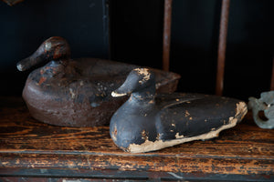 19th Century French Duck Decoy's