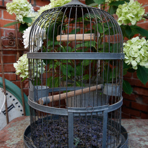French Zinc Birdcage