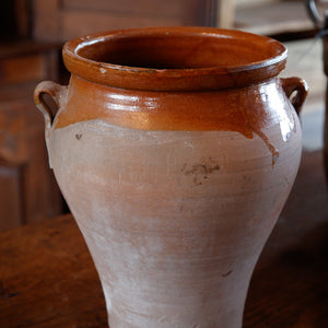 Provence Terracotta Olive Pot
