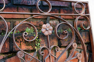 Framed French Wrought Iron Decoration