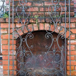 Petite French Wrought Iron Gates