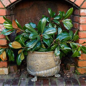 French Bronze Cauldron
