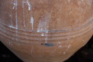 Large Provence Amphora