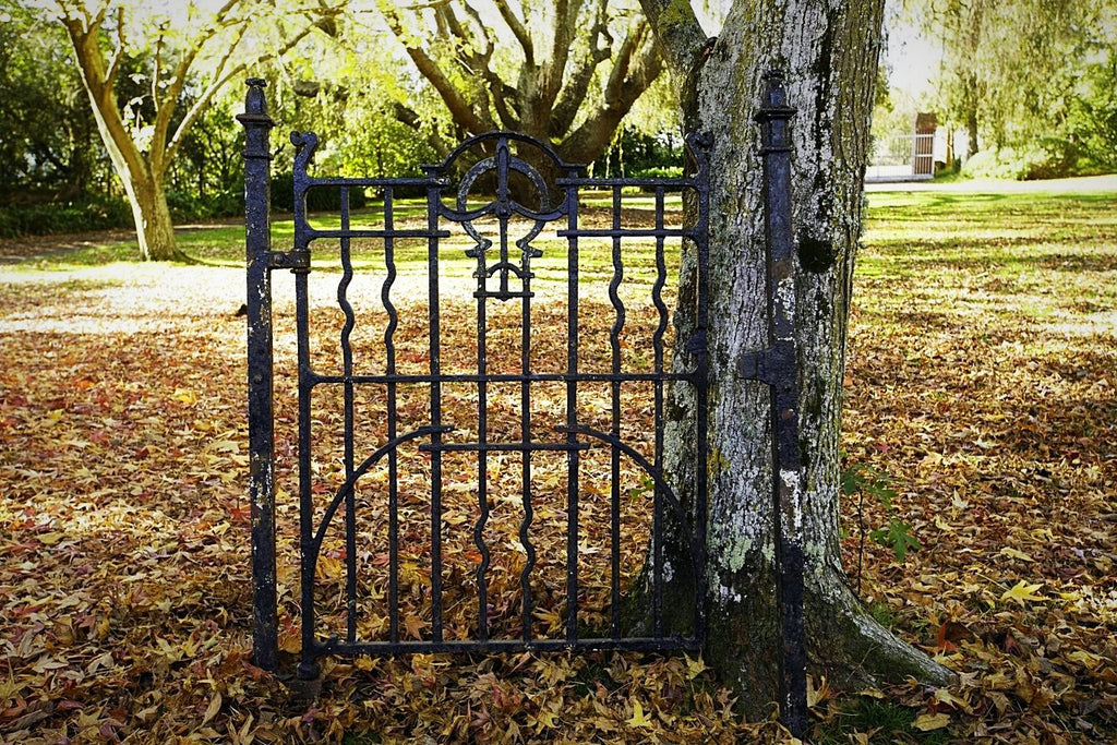 Georgian Wrought Iron Gate