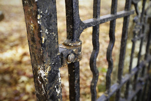 Georgian Wrought Iron Gate