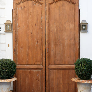French 19th Century Cedar Doors