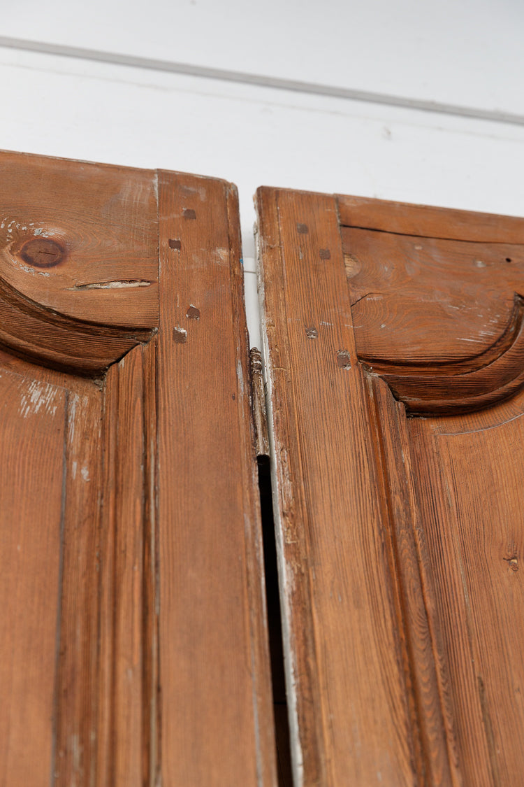 French 19th Century Cedar Doors