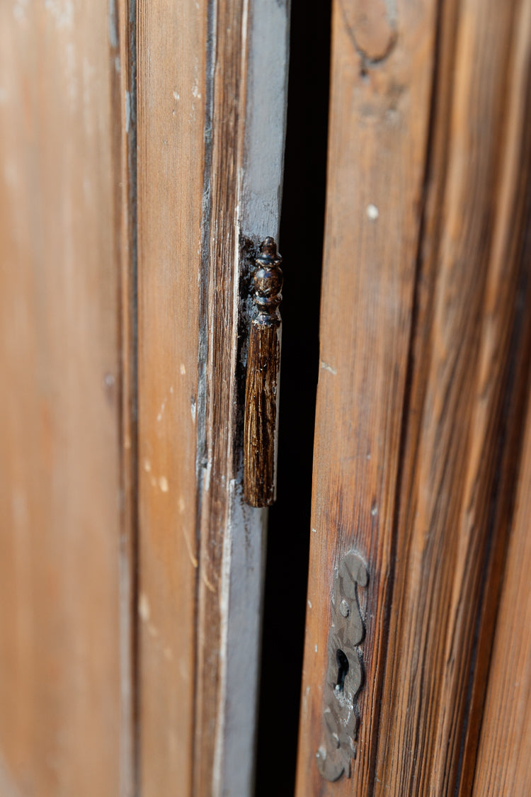 French 19th Century Cedar Doors