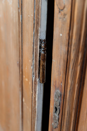 French 19th Century Cedar Doors