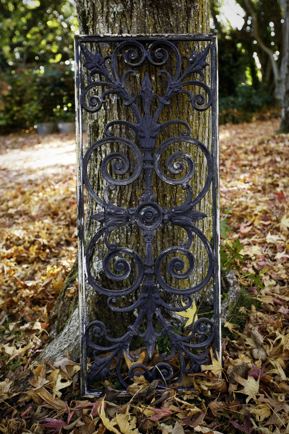 French Wrought Iron Grill - No 15