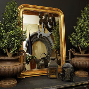 French Gold Gilt Mirror