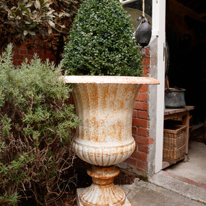 Large French Cast Iron Urns