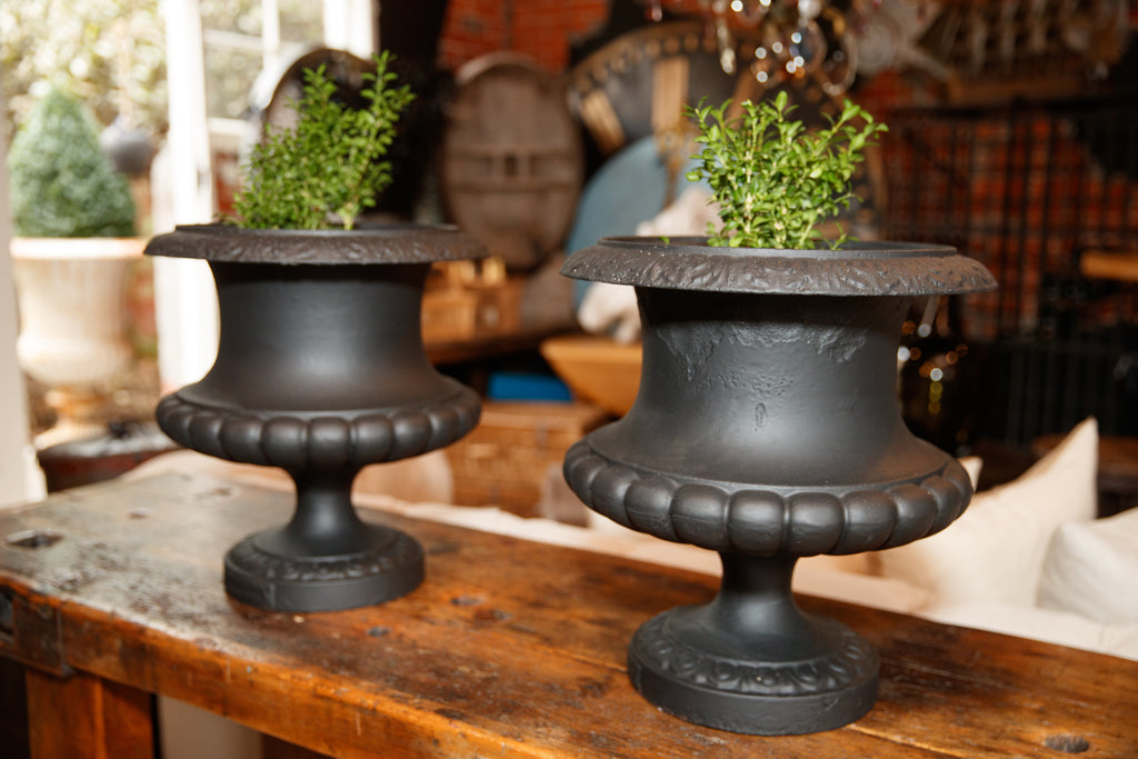 French Cast Iron Urns
