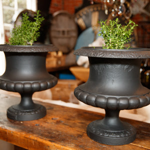 French Cast Iron Urns
