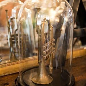 French Brass Trumpet In Dome