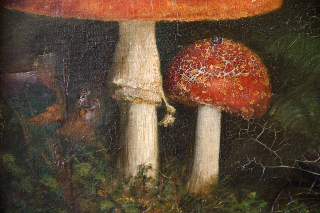 French Oil Canvas Toadstool