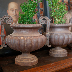 19th Century French Cast Iron Urns