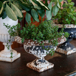 Vintage French Cast Iron Urns