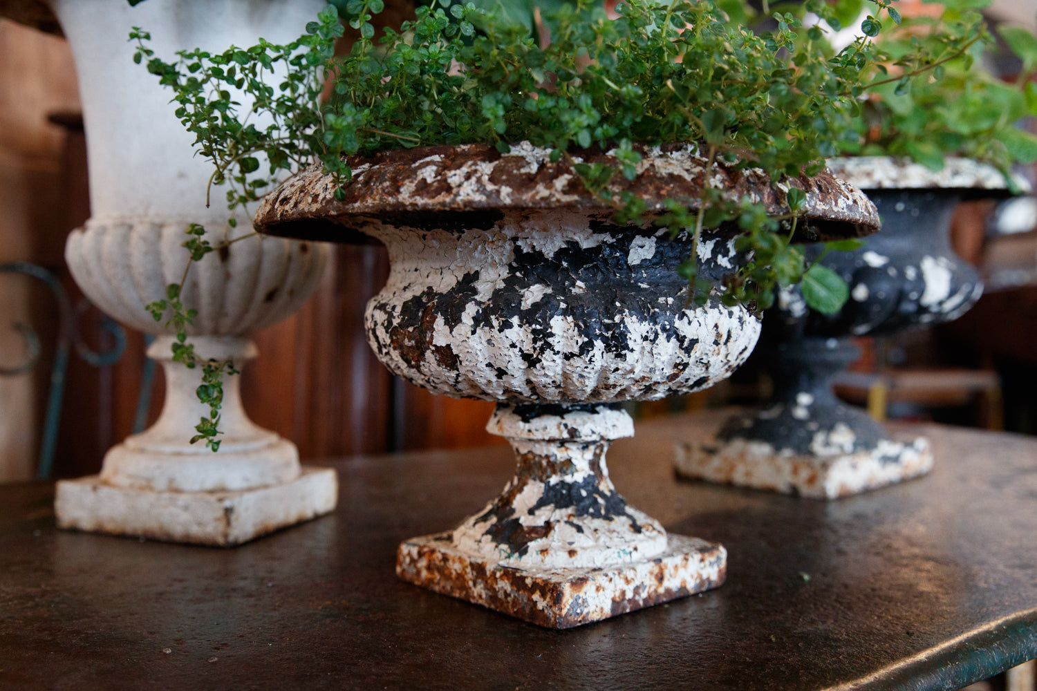 Vintage French Cast Iron Urns
