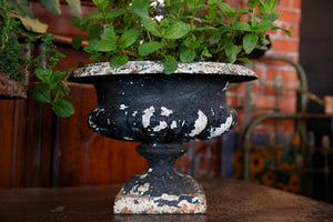 Vintage French Cast Iron Urns
