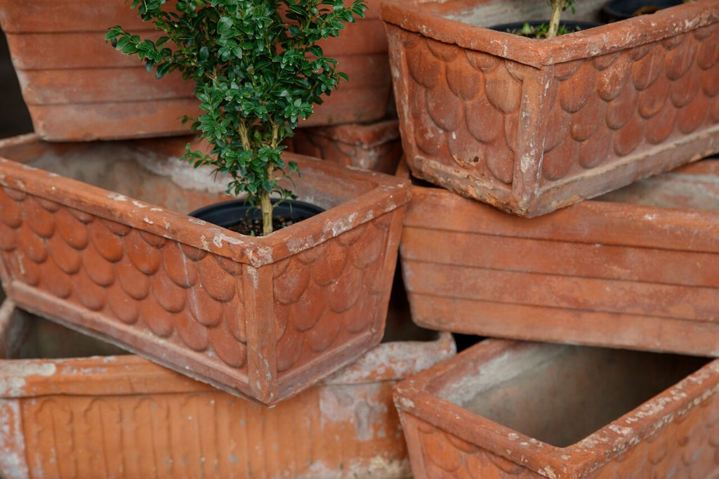 Italian Terracotta Troughs