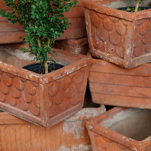 Italian Terracotta Troughs