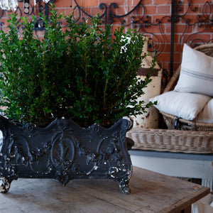 French Iron Jardinere - Black Patina