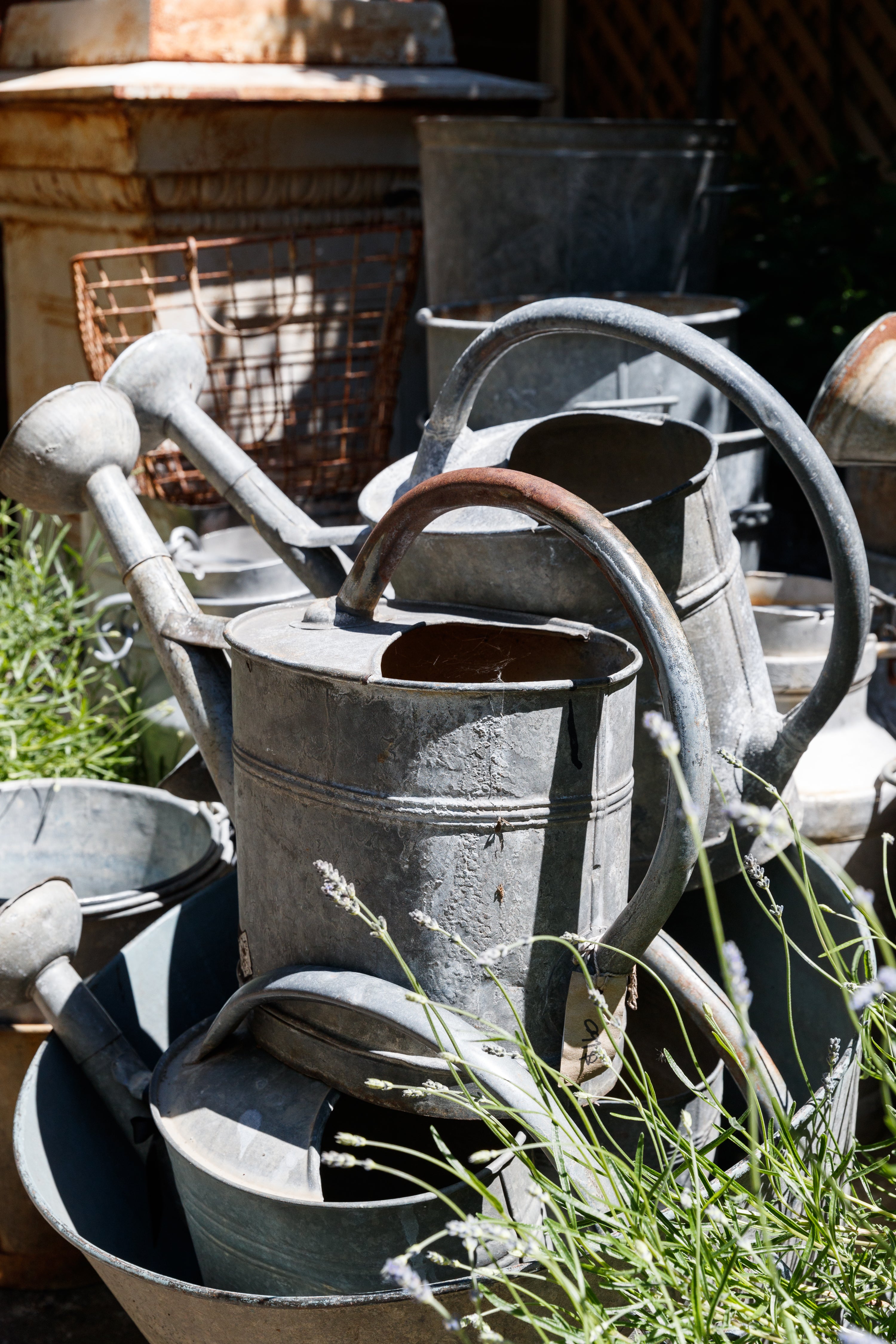 French Watering Cans
