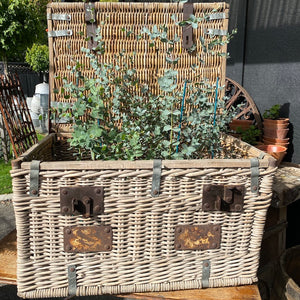 Vintage French 1920's Cane Hamper
