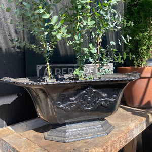 Antique French Cast Iron Planter - No 3