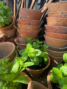 Antique French Terracotta Sap Pots