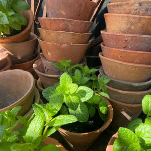 Antique French Terracotta Sap Pots