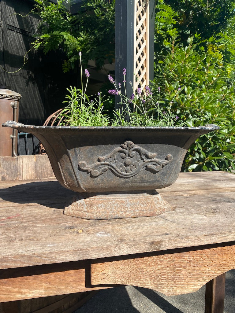 Antique French Cast iron Planter - No 2