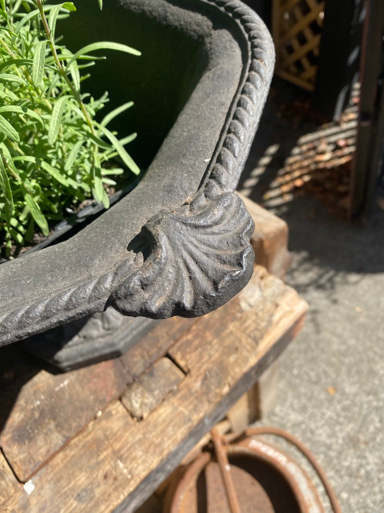 Antique French Cast Iron Planter No 1