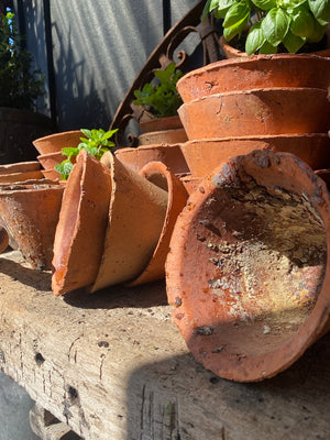 Antique French Terracotta Sap Pots