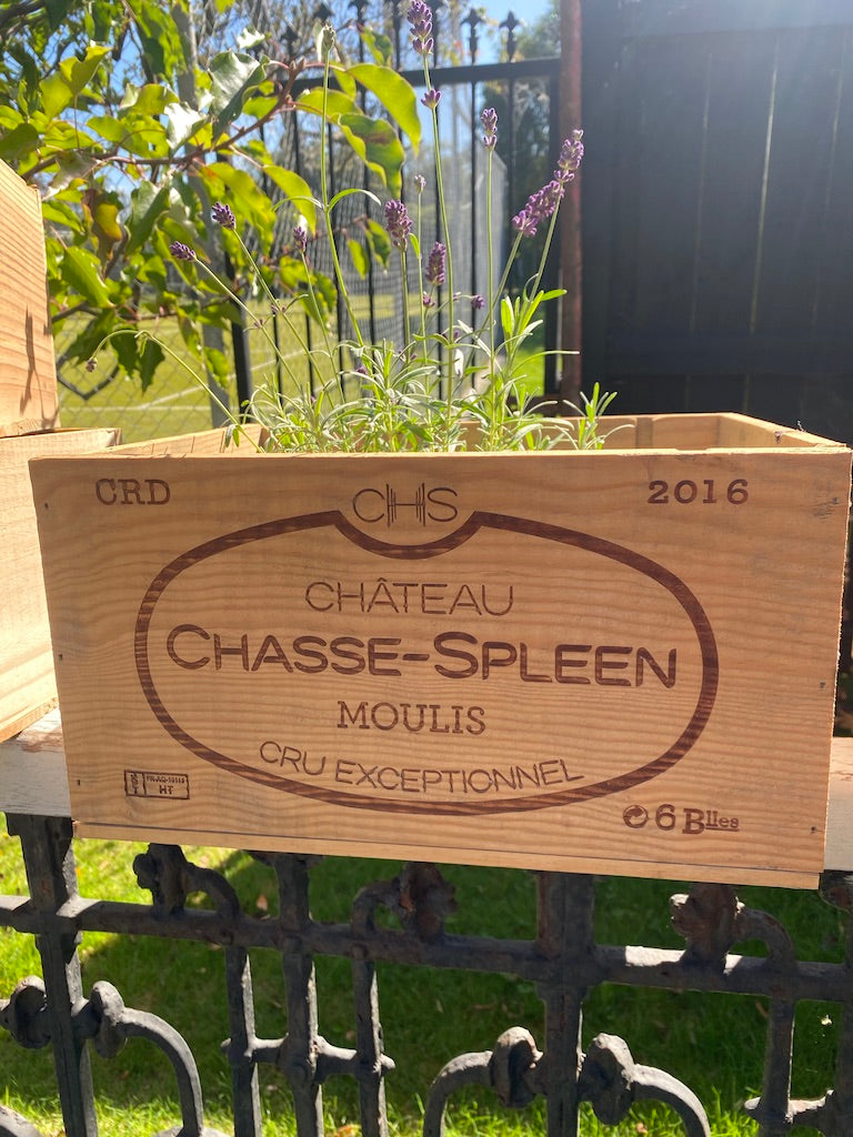 Original French Vineyard Wooden Wine Boxes