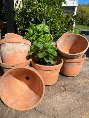 Vintage French Terracotta Pots