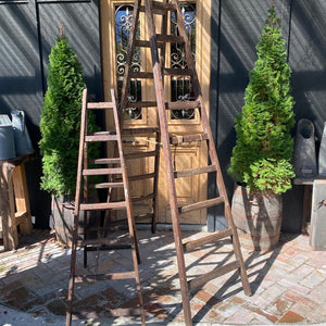 Vintage French Oak Ladders